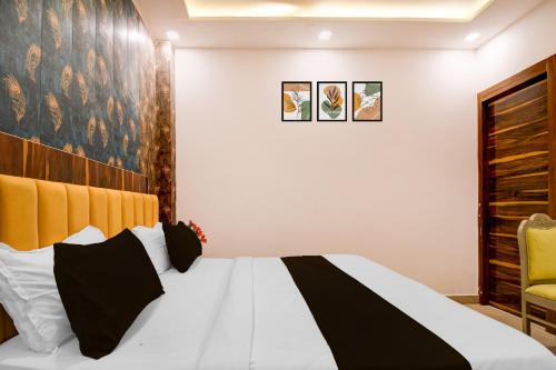 collection o the oraya