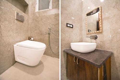 collection o the oraya