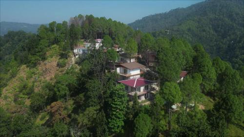 Prakrti-The Nature,,3 star