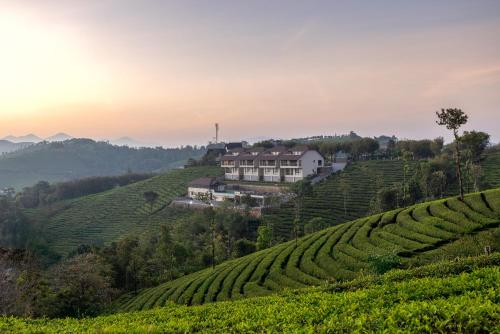 Elysian Vale,,4 star