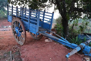 temple view homestay