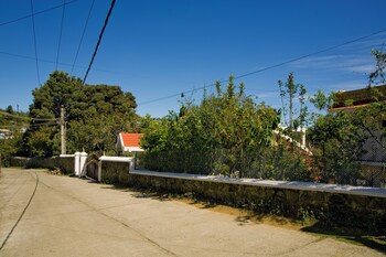 vibe inn kodai