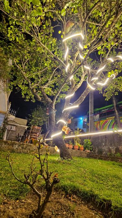 vibe inn kodai