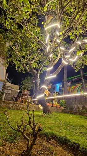 vibe inn kodai