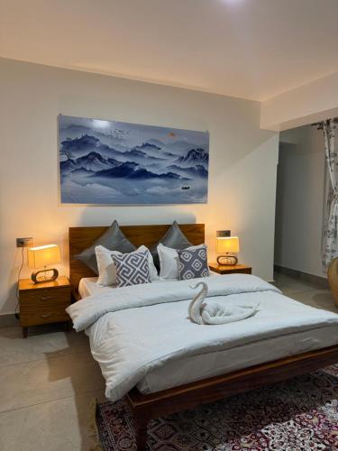 arcane viewfinder homestay