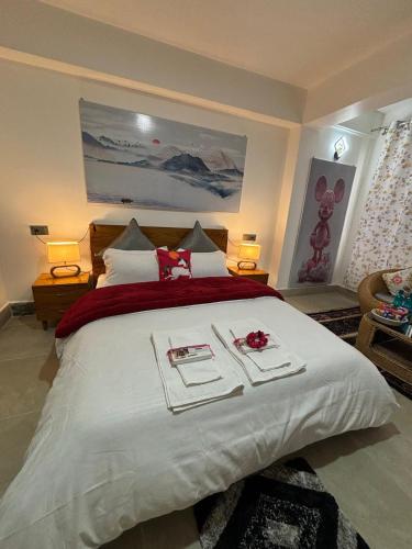 arcane viewfinder homestay