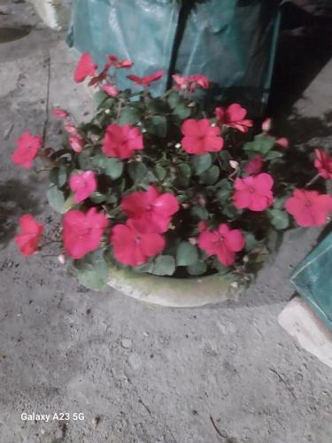 prime inn guest house