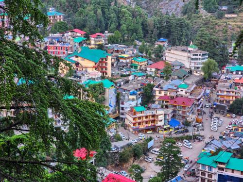 the cedar vatika hotel and restaurant