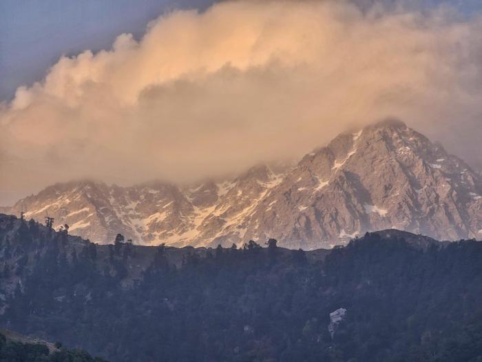 the cedar vatika hotel and restaurant