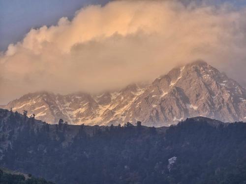 the cedar vatika hotel and restaurant