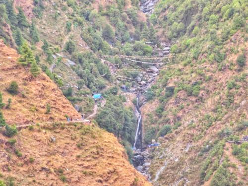 the cedar vatika hotel and restaurant