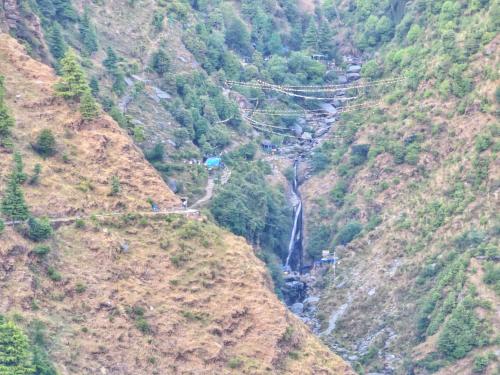 the cedar vatika hotel and restaurant