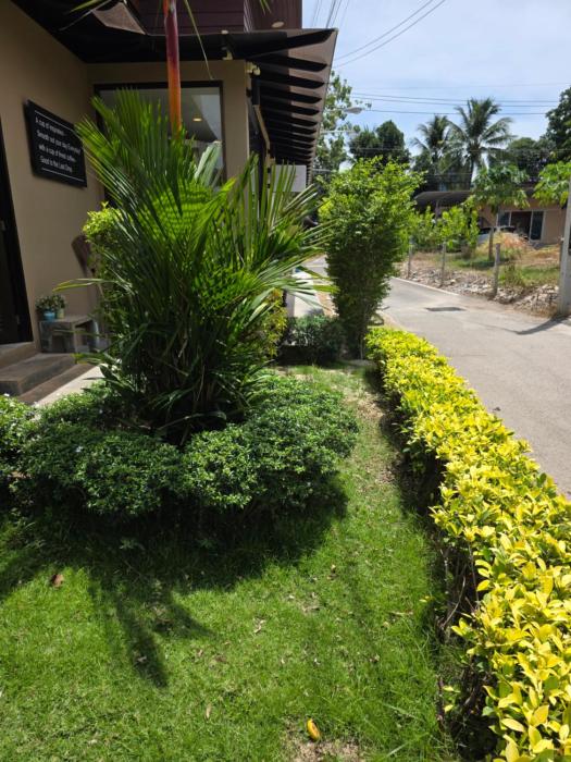 asap boutique phuket