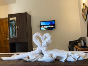 aura rooms and swimming pool calangute