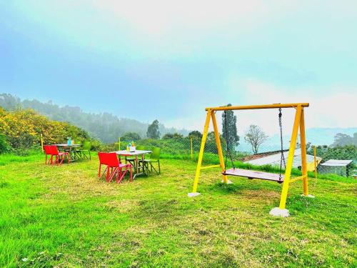 ooty