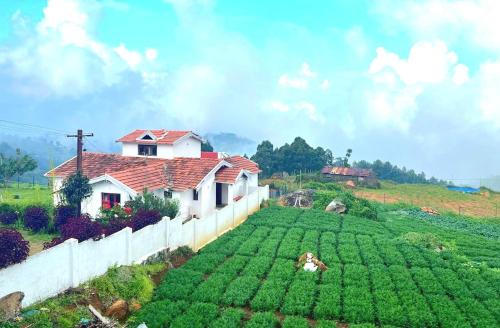ooty