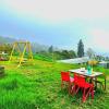ooty