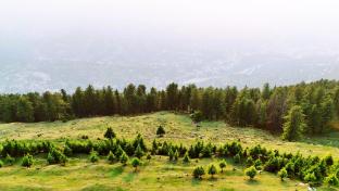 shree dev narayan hotel