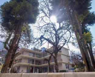 divine brookyard resort