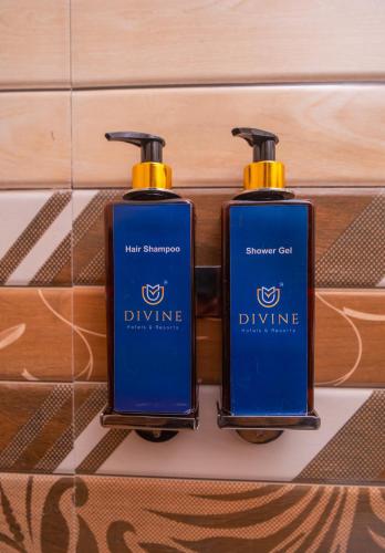 divine brookyard resort