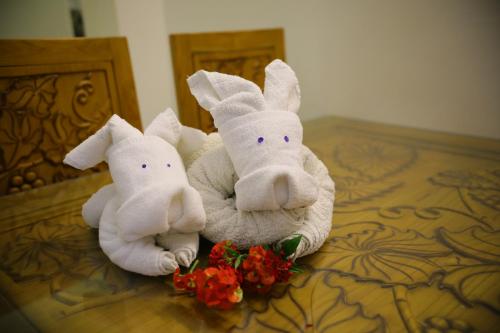 coastal grand yercaud