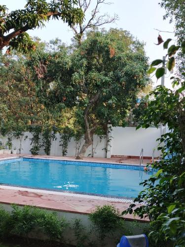 corbett hidden paradise