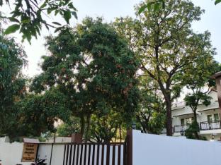 corbett hidden paradise