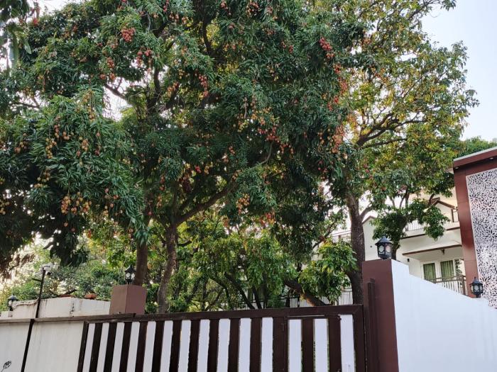 corbett hidden paradise