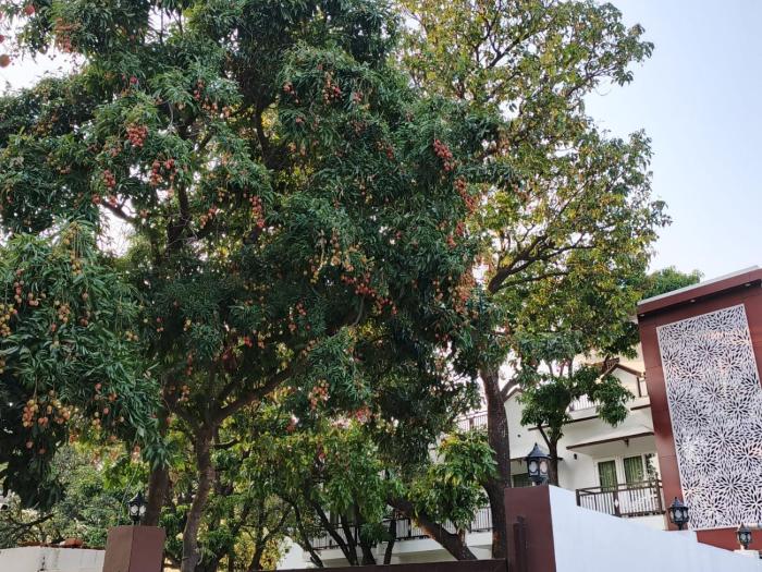 corbett hidden paradise