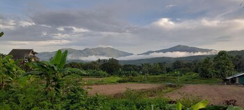 mae rim
