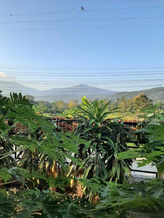 mae rim