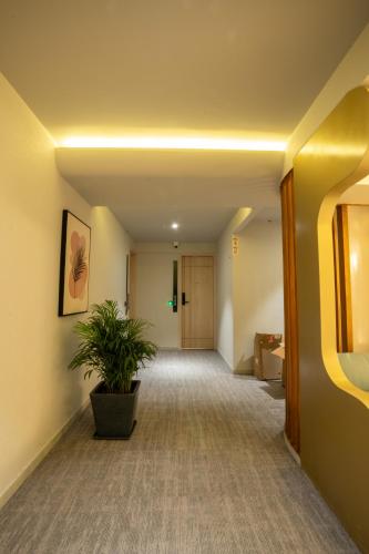 Hotel Bellevue,,3 star