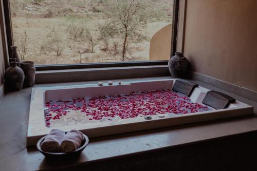 the foothills escape