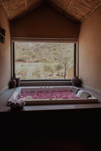 the foothills escape