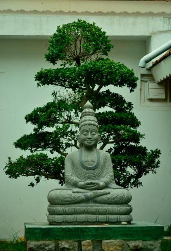 kodaikanal