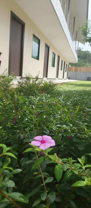 ko lanta hotels and co working space