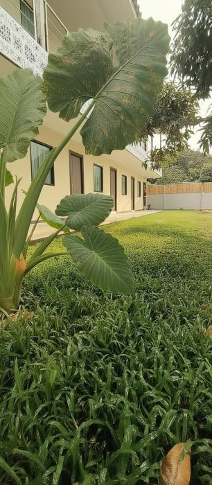 ko lanta hotels and co working space