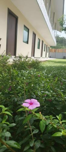 ko lanta hotels and co working space