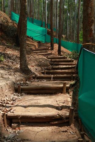 jumanji the jungle home