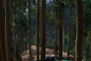 jumanji the jungle home