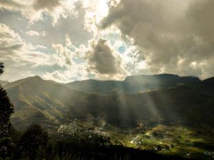 jumanji the jungle home