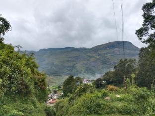 jumanji the jungle home