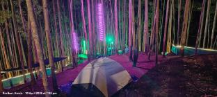 jumanji the jungle home