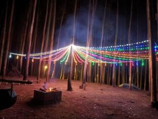 jumanji the jungle home