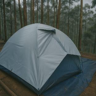 jumanji the jungle home