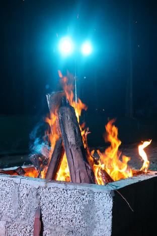 jumanji the jungle home