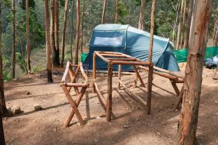 jumanji the jungle home