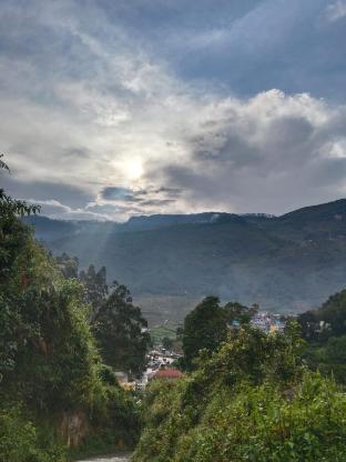 jumanji the jungle home