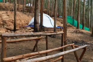 jumanji the jungle home