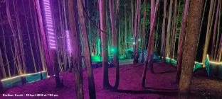 jumanji the jungle home